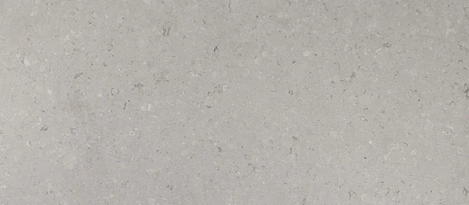 Clamshell Poleeritud ja Lihvitud