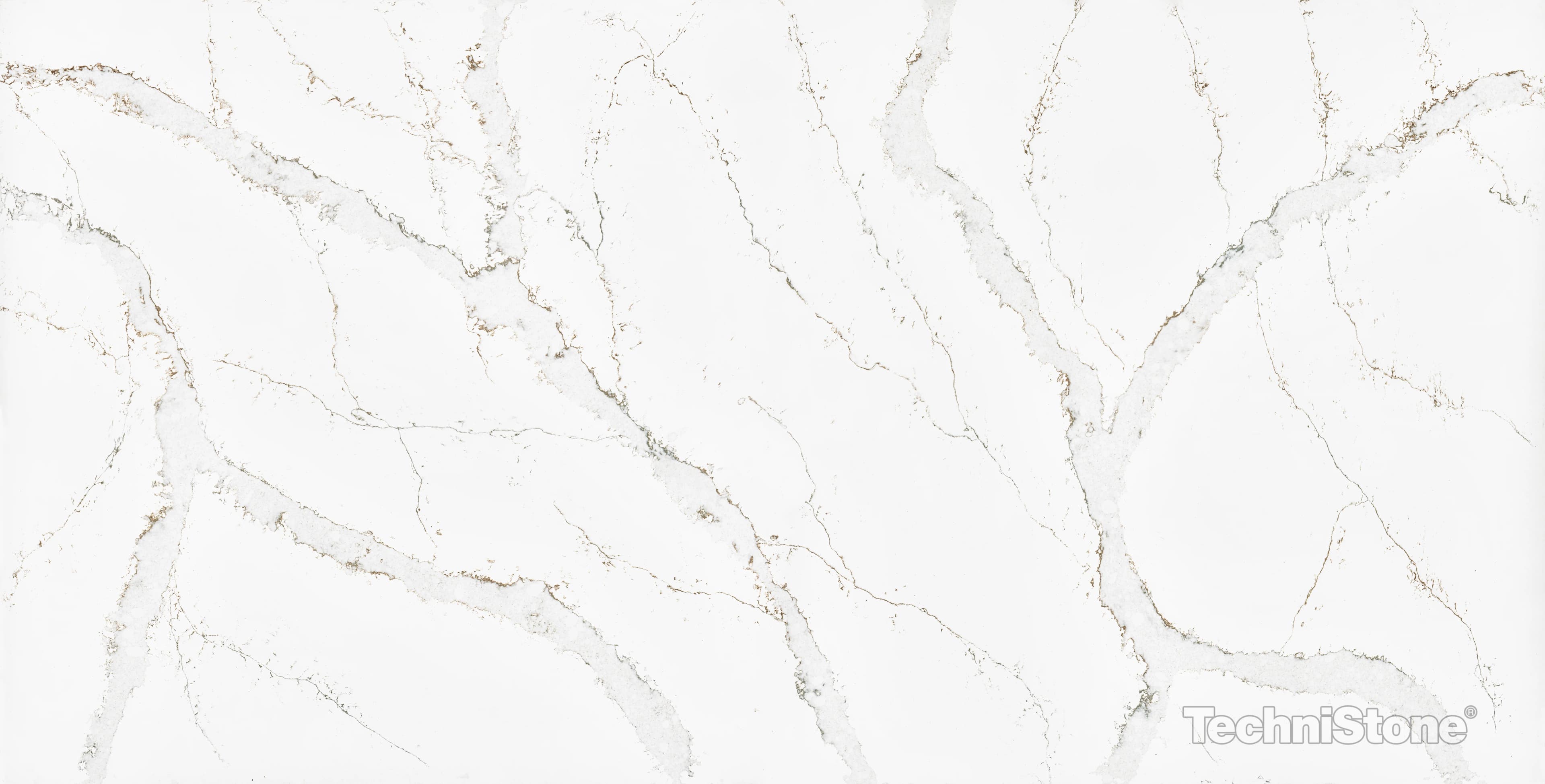 Calacatta Volegno Poleeritud