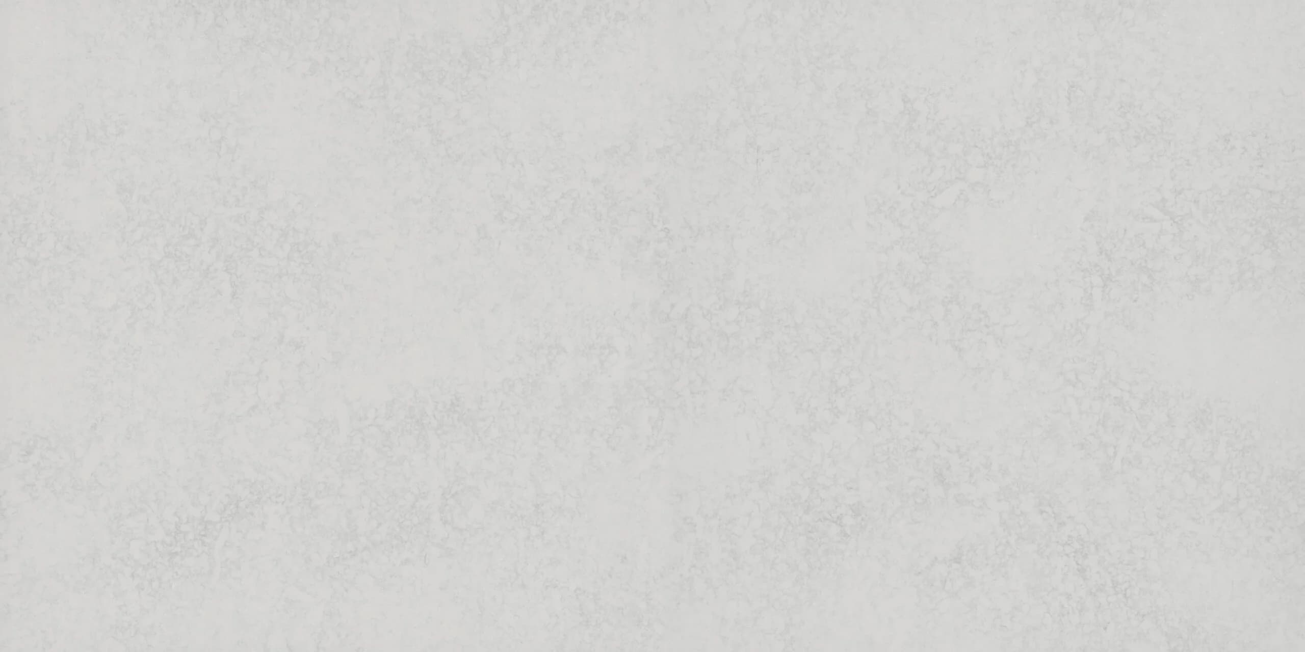 Morning Daisy Poleeritud ja Lihvitud