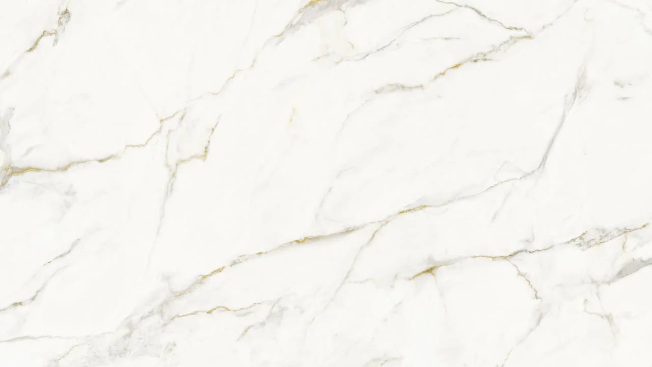 Calacatta Oro Polished