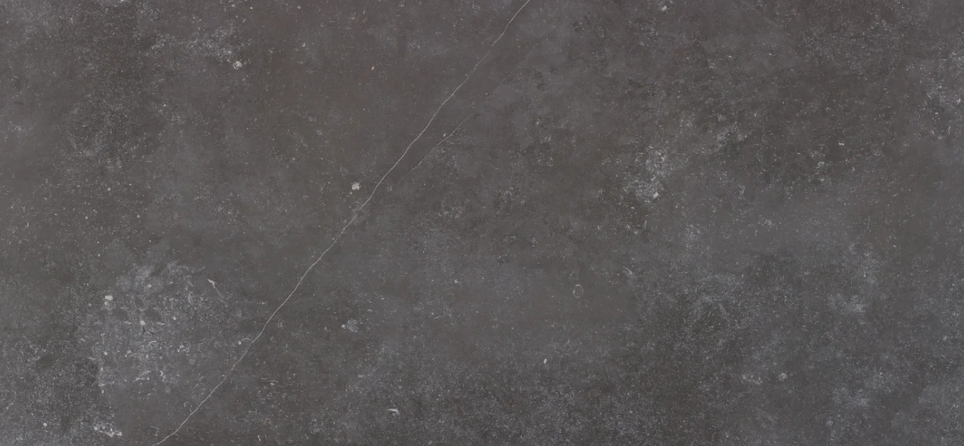 Fossil Lihvitud