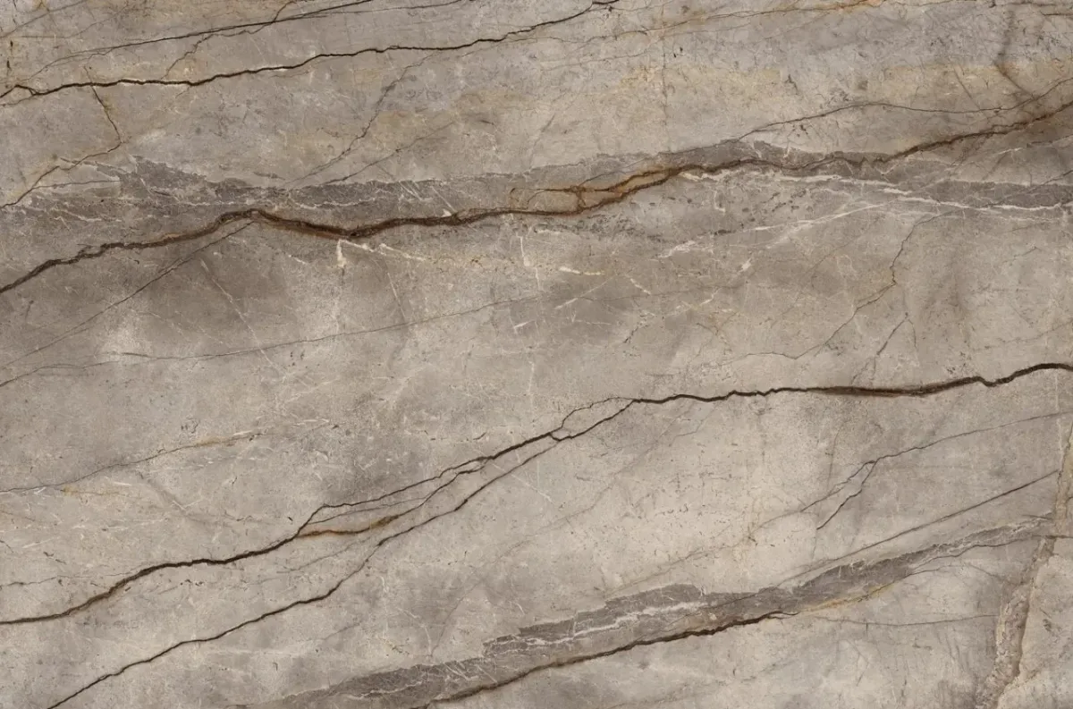Silver Root
