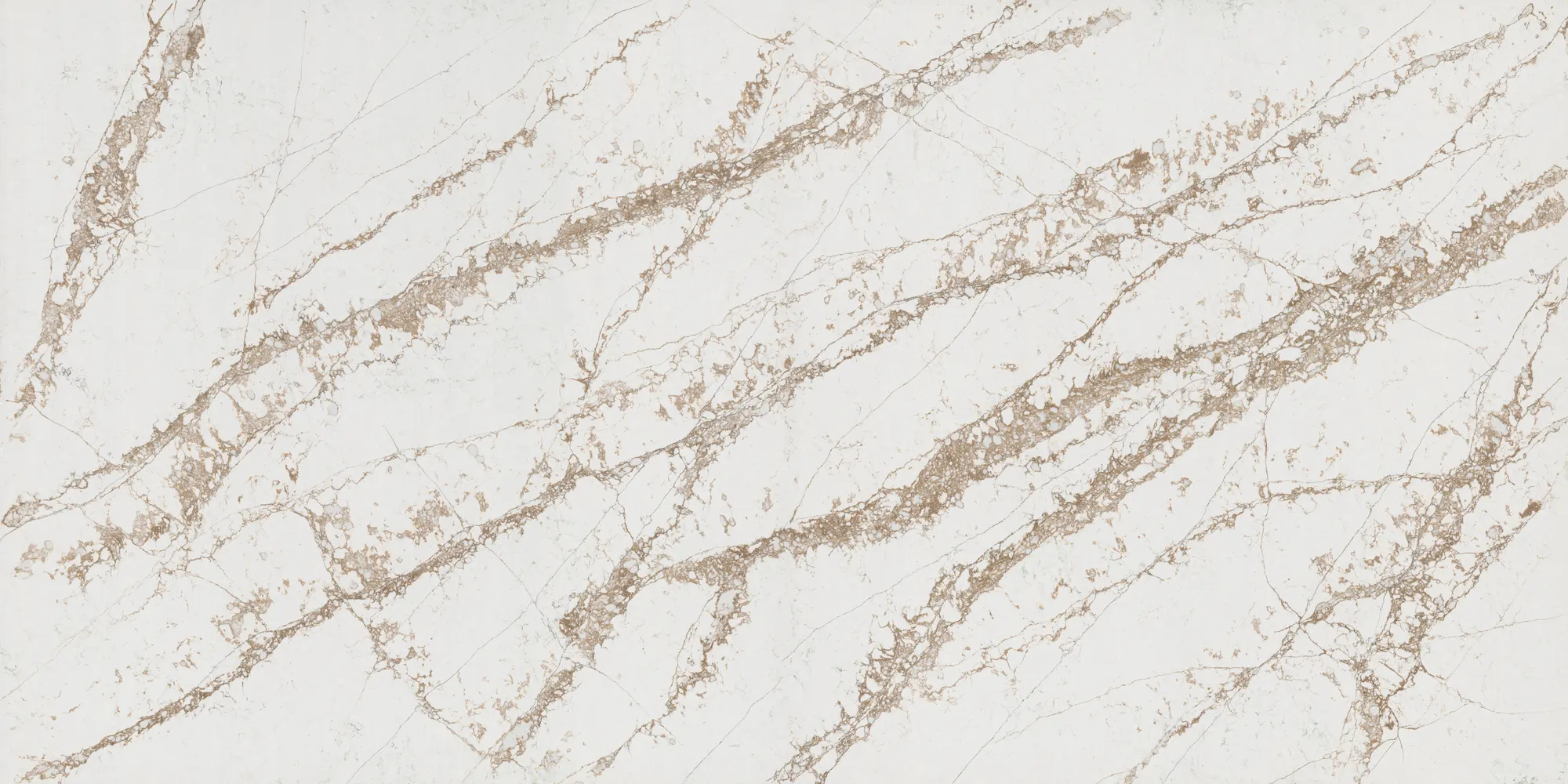 Bronze Coast Polished