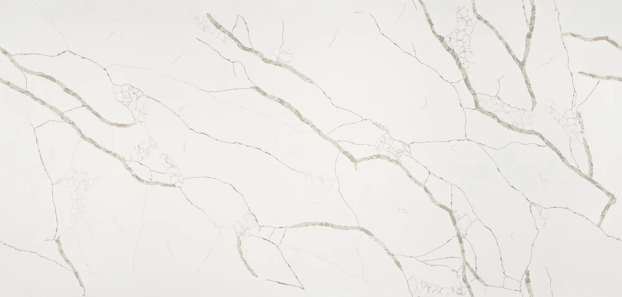 Calacatta Dauphine Polished