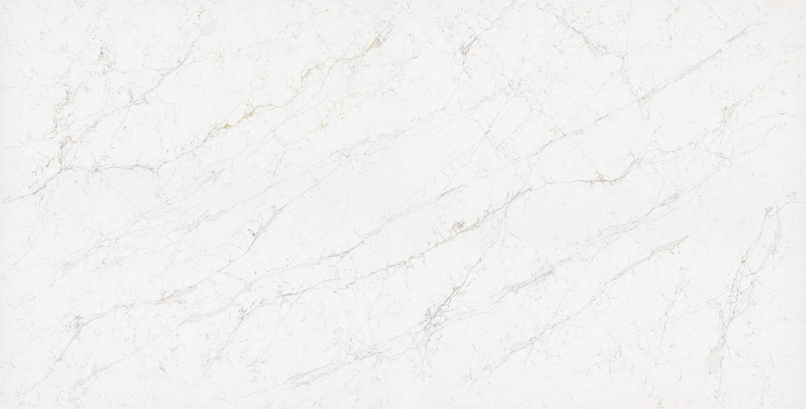 Calacatta Olympos Polished