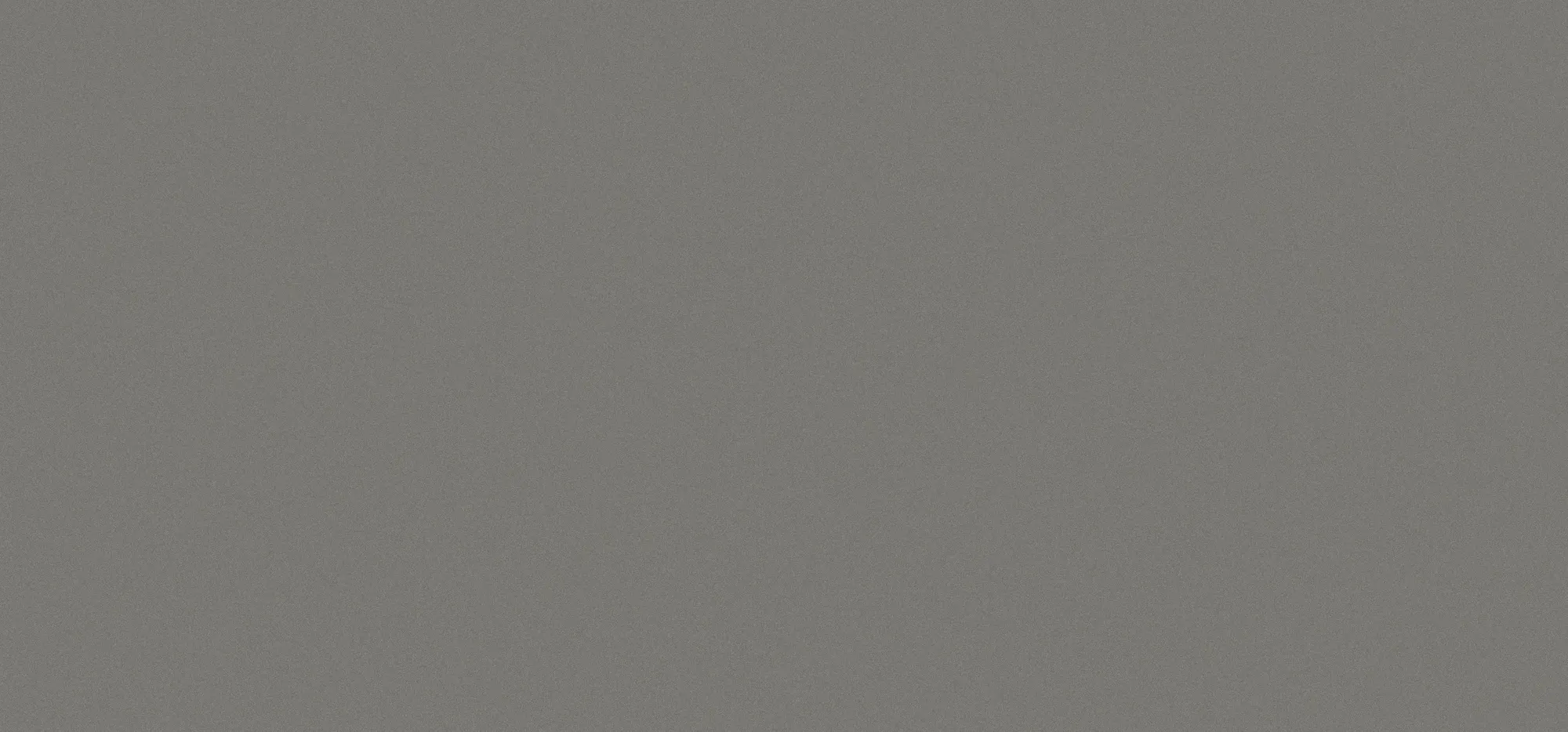 Gobi Grey Polished