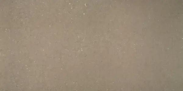 Coral Clay Polished