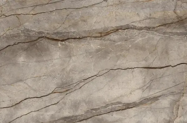 Silver Root